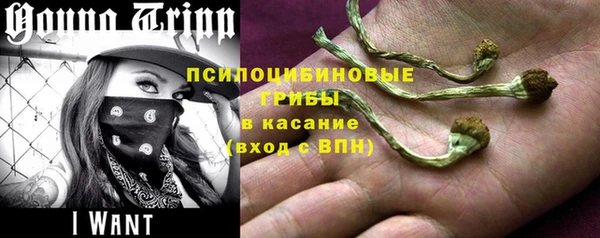 MESCALINE Новокубанск