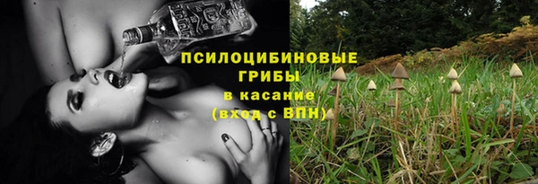 MDMA Новозыбков